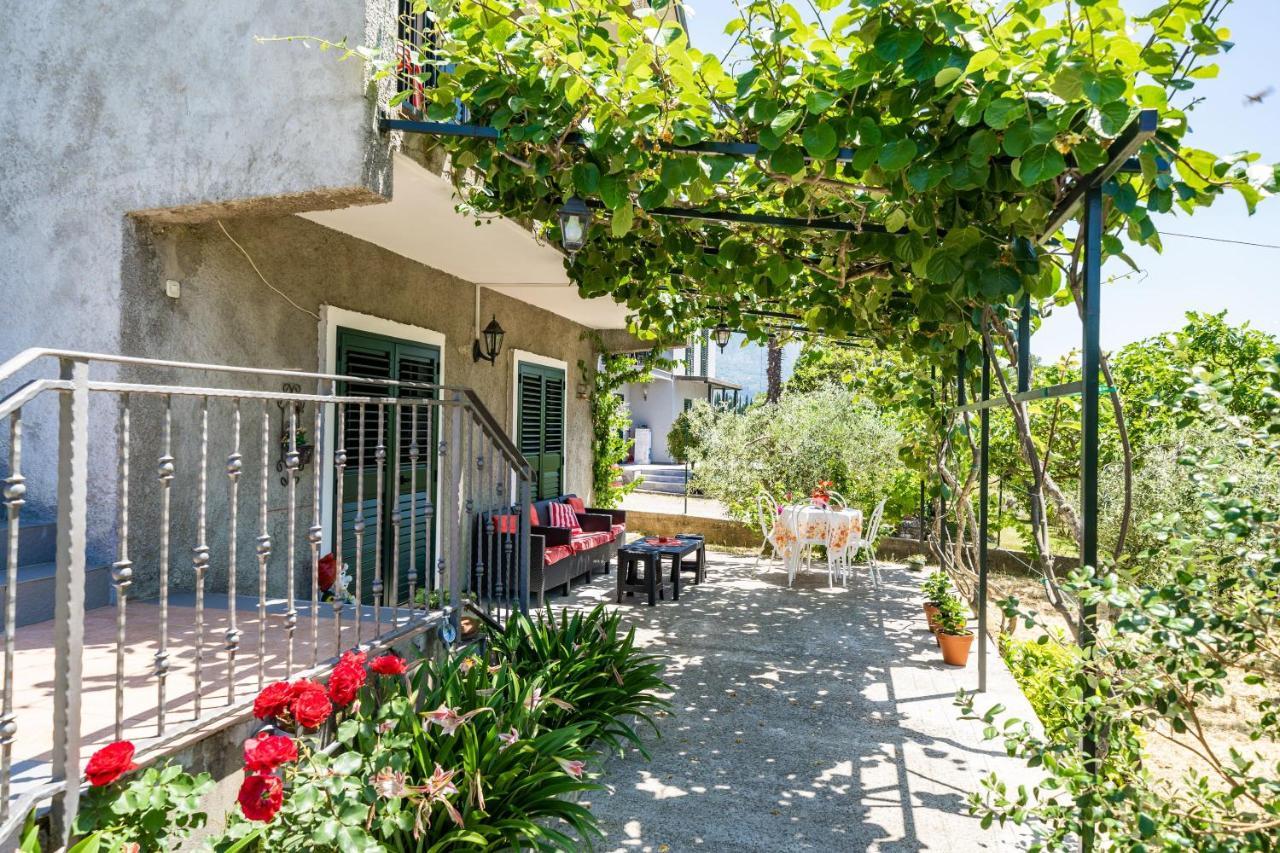 Apartment Laurel Leaf Lovorno Exterior foto